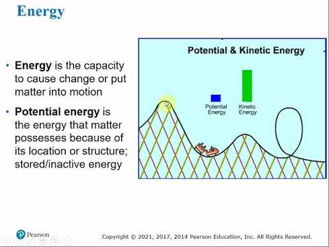 2107 Chapter 2 - The Chemical Context of Life