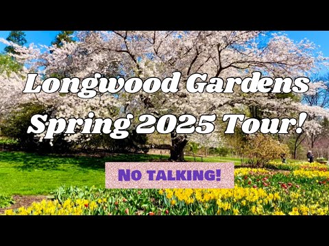 Longwood Gardens Spring Tour & Walkthrough! 2025! NO TALKING! America’s Most Beautiful Garden!