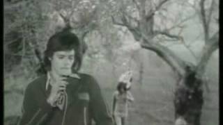 Claudio Baglioni - Ci Fosse Lei