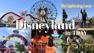 🇺🇸カリフォルニアディズニーvlog|ライトニングレーンなしの1日|アトラクション・グッズ・フード🎡【海外ディズニー・LA在住】