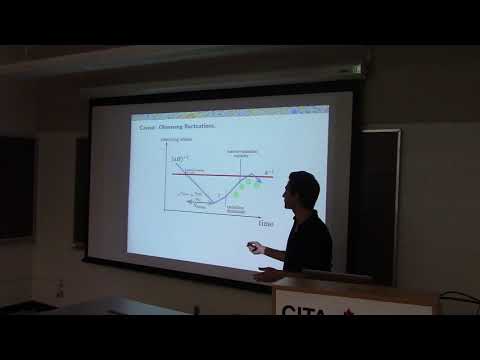CITA 790: Reheating the universe with many scalar fields