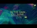 Armin van Buuren & Push - In The Dark You Shine
