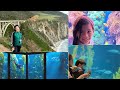 Monterey Bay Aquarium To Big Sur