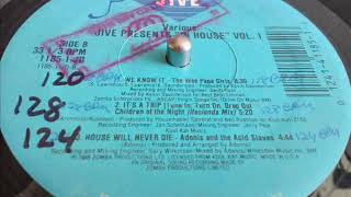 ADONIS & THE ACID SLAVES- HOUSE WILL NEVER DIE