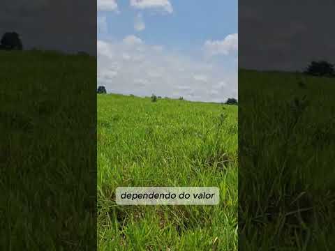 20 Alqueires terra em Rondonia