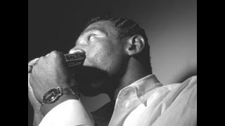 Little Walter - Nobody But You