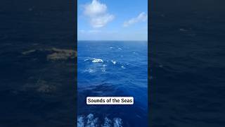 Carnival Sunrise Balcony View #cruise #carnival