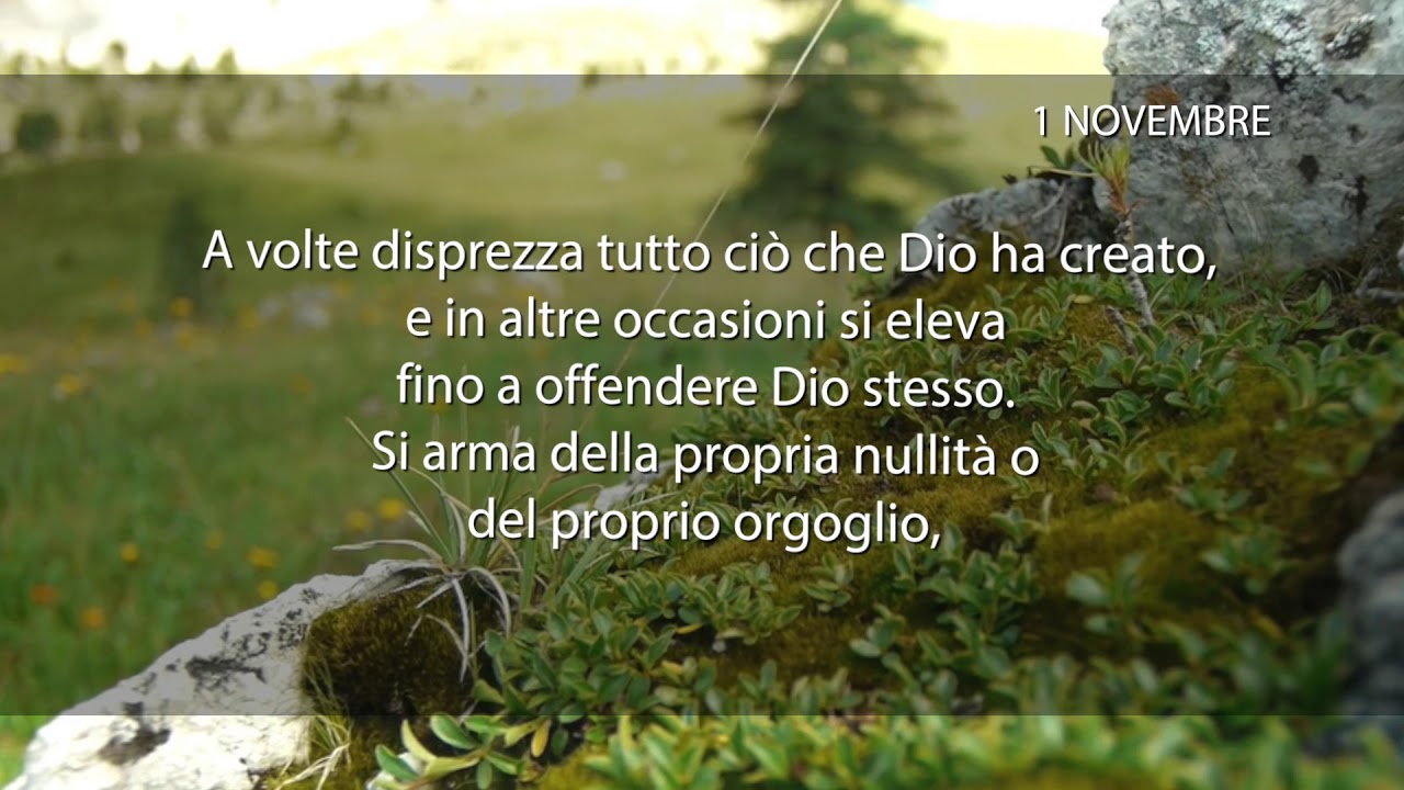 Meditazione del 01 Novembre 2018 “CHI SARÀ IL GIUDICE DEFINITIVO?”