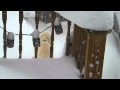 Barney Pees In The Blizzard