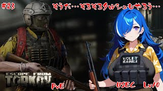 【EFT PvE】そろそろ…タルシュもやっていきますか…　【#23】【USEC　LV10～】【実況】 #バ美肉おじさん #ホリちゃん #tarkov