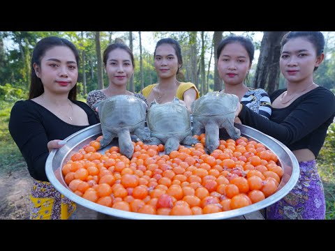 Cook turtle soup with egg recipe with my family - Amazing video