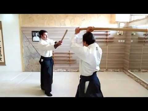 Ki Musubi No Tachi/ Henka