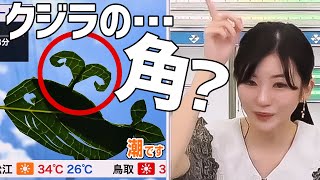 「潮」をど忘れするお天気お姉さん【大島璃音】