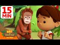 MACAN TUTUL MENGANCAM BAYI ORANGUTAN 15 Min Leo Si Penjaga Alam Hewan
