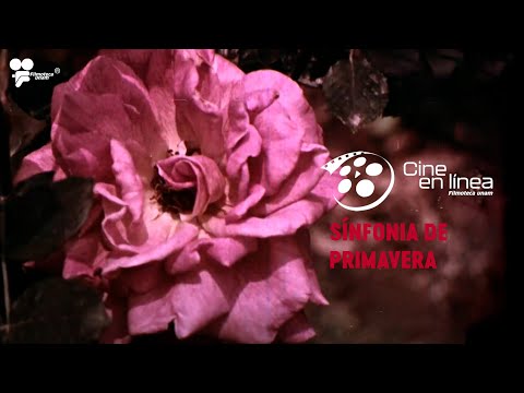 Sinfonía de primavera (1956) - Cine en línea