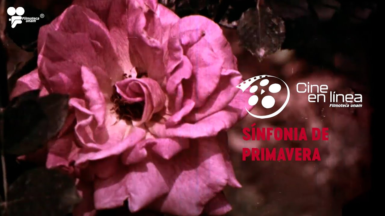 Sinfonía de primavera (1956) - Cine en línea