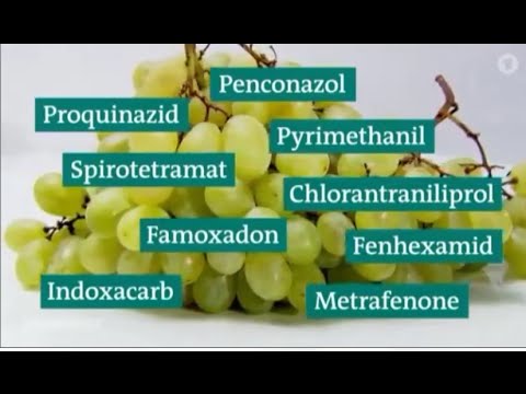 Gefährliche Pestizide in Obst und Gemüse der Supermärkte und Discounter