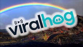 faze tari lava si curcubeu