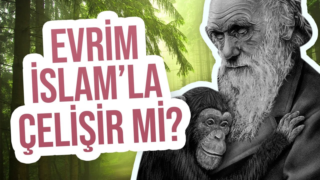 <strong>Evrim İslamla Çelişir Mi? | Evrim ve Deizm | Enis Doko</strong>