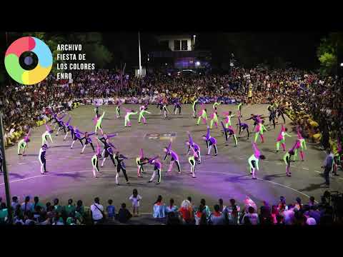 ENRO: Fiesta de los Colores | 2024: Esquema del Color Amarillo