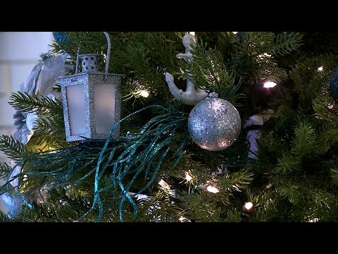 download lagu mp3 mp4 Florida Man 18 December, download lagu Florida Man 18 December gratis, unduh video klip Florida Man 18 December