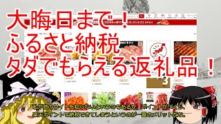 【大晦日まで！】ふるさと納税でタダでもらえる返礼品！【お金】