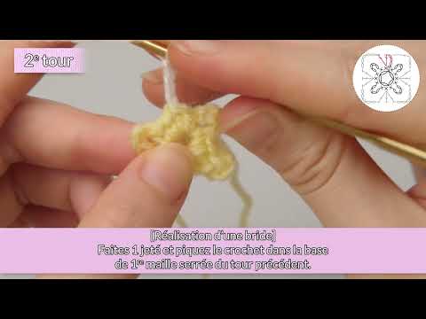 Crochet en 3D facile - Le premier carré : Fleur de cornouiller - TOURS 1 ET 2