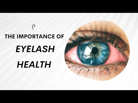 Why is it Important To Keep Your Eyelashes Clean? I Prolong Lash
