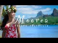 EXPLORE MOOREA ISLAND - Snorkeling, Sharks, Whales and Dogs?