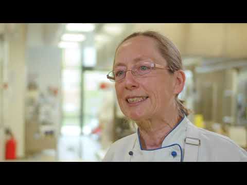 Doch lecker oder wie lässt sich die Akzeptanz für ungewohnte Speisen steigern? ꟾ Schulverpflegung