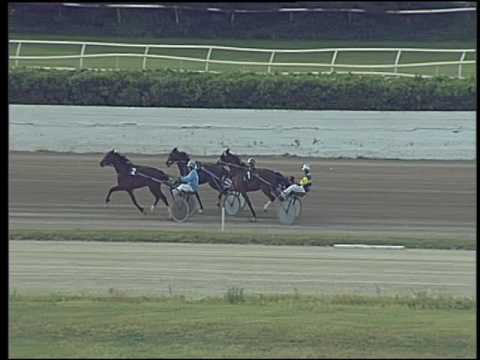 Trotto 16/06/2016 - 1° prova di qualifica