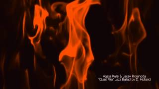 Quiet Fire (Dave Holland) by Agata Kulis & Jacek Korohoda