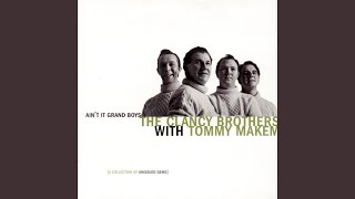 Rosin the Bow (Live)