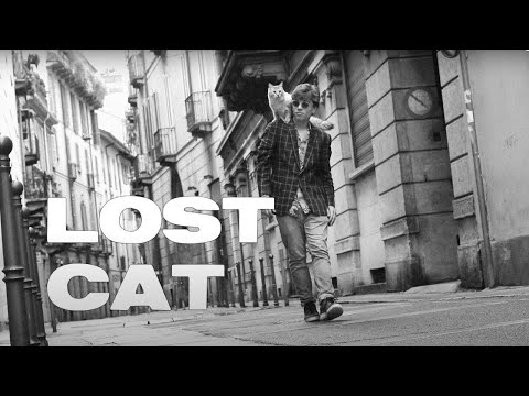 l o s t  c a t