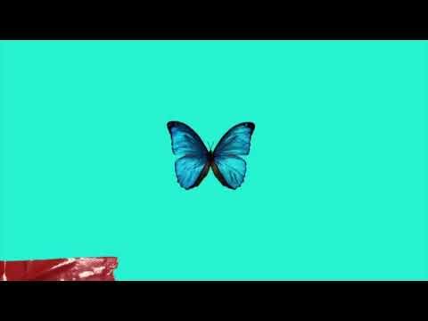 BODY & SOUL ( PROD BY ??? & YOUNG $WAVY )