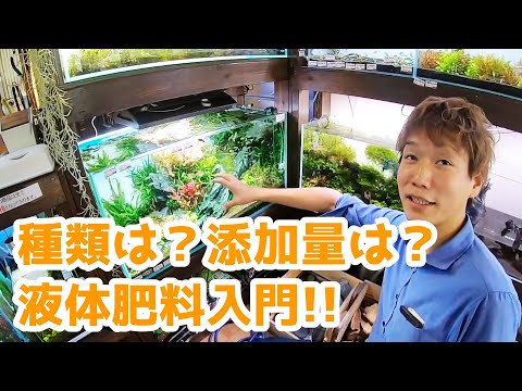 ポタモゲトン科について詳しく解説