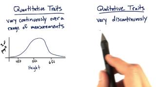 Quantitative vs Qualitative - Tales from the Genom