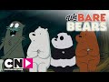 Wat Beren Leren | Feestelijk bezoek | Cartoon Network