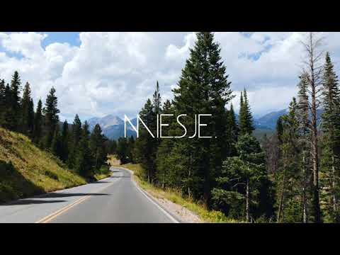 amindi k. fro$t | pine & ginger (ft. tessellated & valleyz)