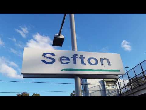 Sydney City Transport Vlog 136: SEFTON