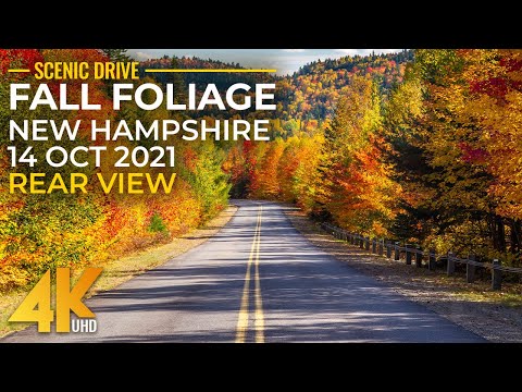 Beautiful Autumn Scenery of New Hampshire Roads - Fall Foliage of New England - Rear View (4K 60fps)