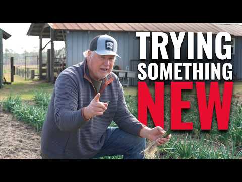 Strange Things We Sell, It's Weird