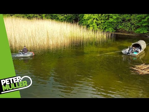 Karpfenangeln - Warum hier einen Futterplatz anlegen? | Carp Fishing | #fishing