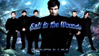 Pendulum - Salt in the Wounds (Immersion 2010) HQ