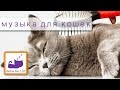музыка для кошек - расслабляющие звуки животные расслабиться моя кошка 