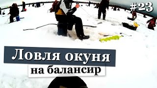 Ловля крупного окуня на балансир зимой