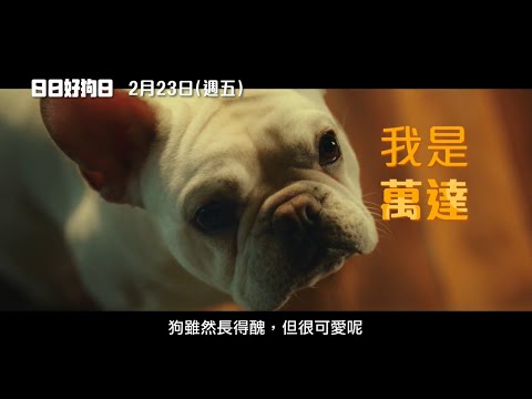 心情有「狗」好！【日日好狗日】Dog Days 角色版預告 一起探索狗狗們的內心世界吧 2/23(五) 有狗就給讚