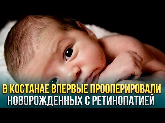 Главные новости 08.01.2024 г.