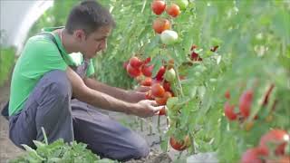 Farm Labor Contractors Career Video