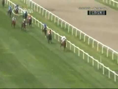 Trial Stakes 2012-Ebreichsdorf-Pegas(DS Pegas)-Gary Hind